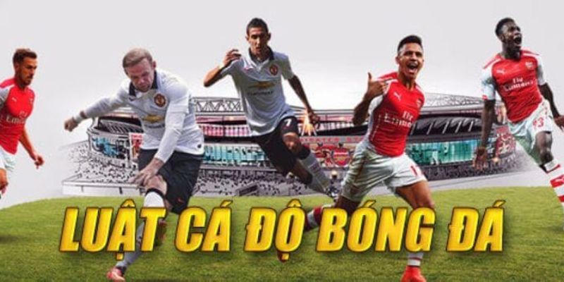 Luật cá độ bóng đá là gì